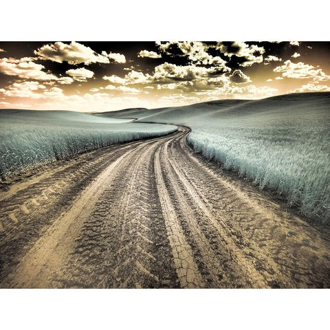 USA-Washington State-Palouse-Country backroad through spring crops White Modern Wood Framed Art Print by Eggers, Terry