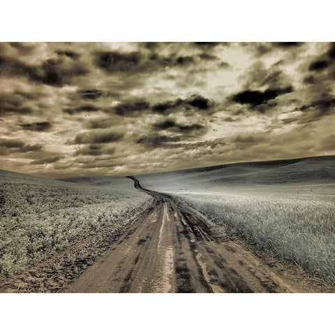 USA-Washington State-Palouse-Country backroad through spring crops Gold Ornate Wood Framed Art Print with Double Matting by Eggers, Terry