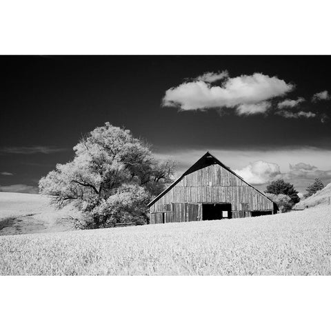 USA-Palouse Country-Washington State-Infrared Palouse fields and barn Black Modern Wood Framed Art Print by Eggers, Terry