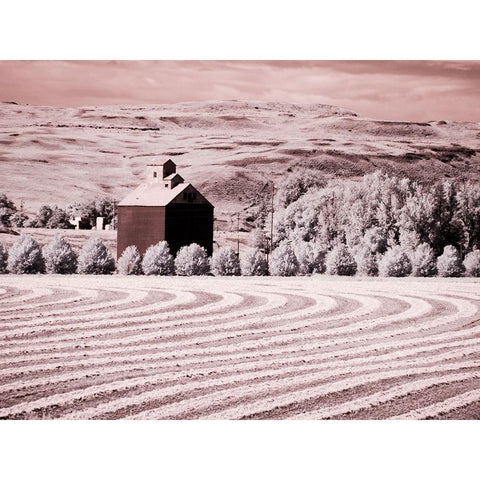 USA-Washington State-Palouse-Harvest lies in field with barn Gold Ornate Wood Framed Art Print with Double Matting by Eggers, Terry
