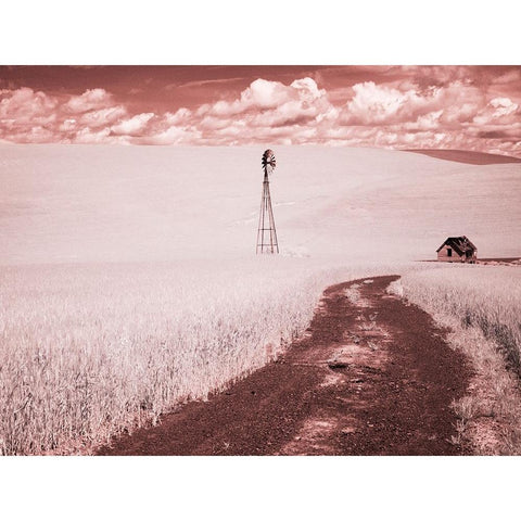 USA-Washington State-Palouse-Backroad through wheat field Black Modern Wood Framed Art Print by Eggers, Terry