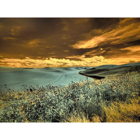 USA-Washington State-Palouse-Spring Poppies and Backcountry road through wheat field and clouds Black Modern Wood Framed Art Print by Eggers, Terry