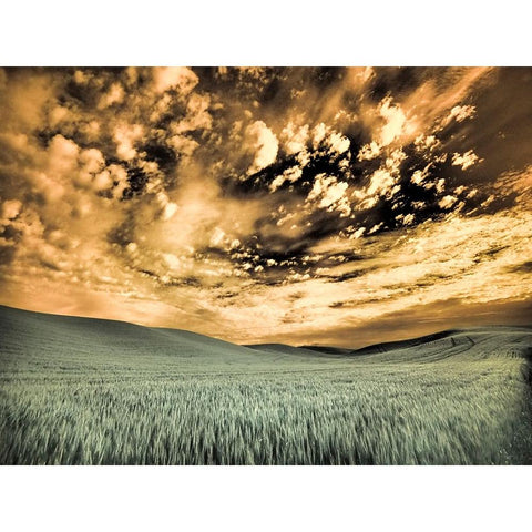 USA-Washington State-Palouse-wheat field and clouds Black Modern Wood Framed Art Print by Eggers, Terry