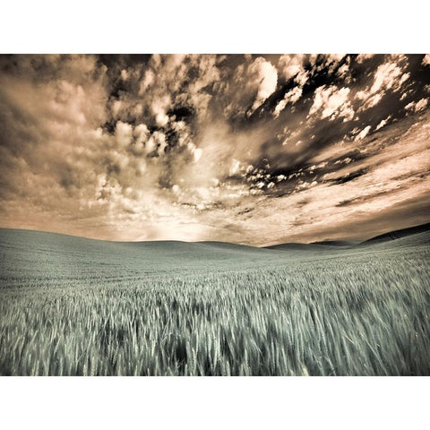 USA-Washington State-Palouse-wheat field and clouds Black Modern Wood Framed Art Print by Eggers, Terry