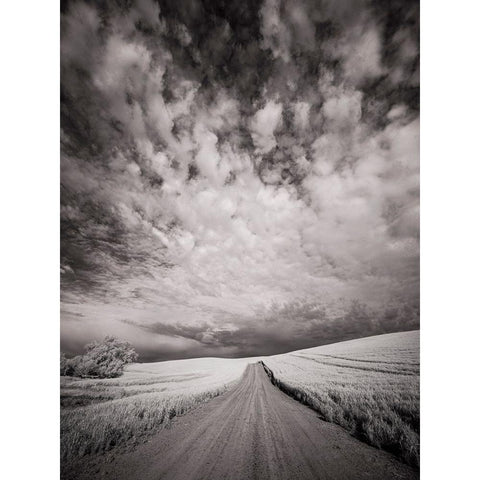 USA-Washington State-Palouse-Backcountry road through wheat field and clouds Black Modern Wood Framed Art Print by Eggers, Terry