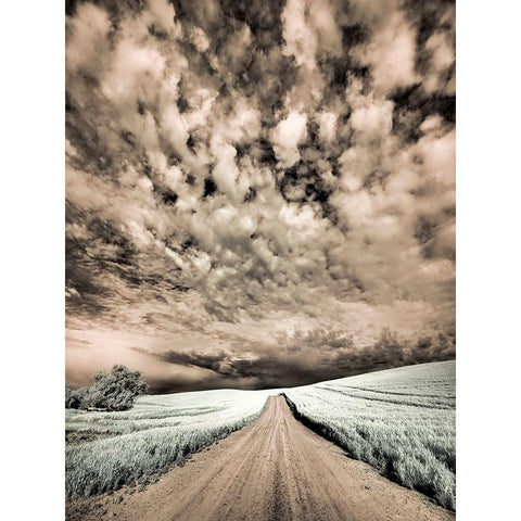 USA-Washington State-Palouse-Backcountry road through wheat field and clouds Black Modern Wood Framed Art Print by Eggers, Terry