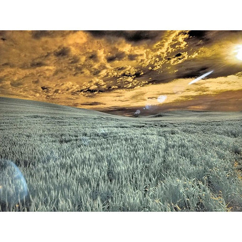 USA-Washington State-Palouse-wheat field and clouds Black Modern Wood Framed Art Print by Eggers, Terry