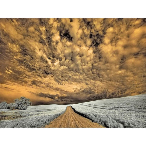 USA-Washington State-Palouse-Backcountry road through wheat field and clouds Black Modern Wood Framed Art Print by Eggers, Terry