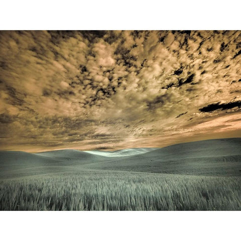 USA-Washington State-Palouse-wheat field and clouds Black Modern Wood Framed Art Print with Double Matting by Eggers, Terry