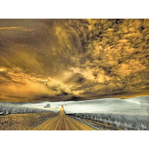 USA-Washington State-Palouse-Backcountry road through wheat field and clouds Black Modern Wood Framed Art Print by Eggers, Terry