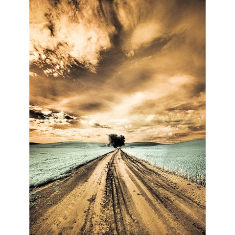 USA-Washington State-Palouse-Backcountry road through wheat field with lone tree and clouds Black Modern Wood Framed Art Print by Eggers, Terry