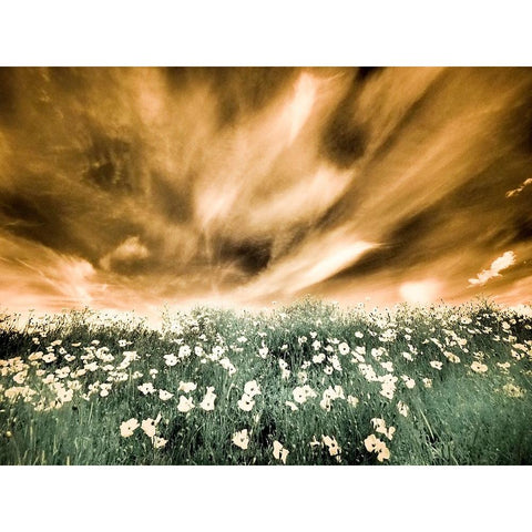 USA-Washington State-Palouse-Spring Poppies and Backcountry road through wheat field and clouds Black Modern Wood Framed Art Print by Eggers, Terry