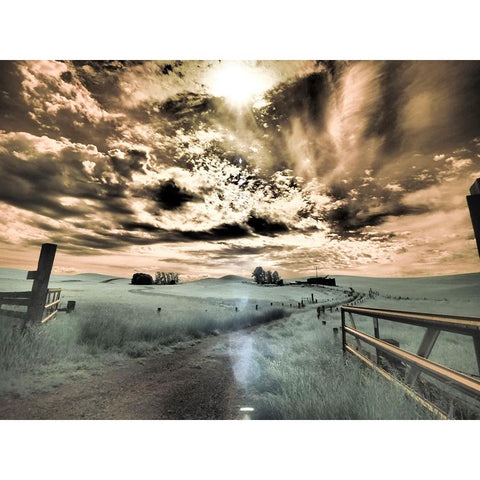 USA-Washington State-Palouse-Backcountry road through wheat field and clouds White Modern Wood Framed Art Print by Eggers, Terry