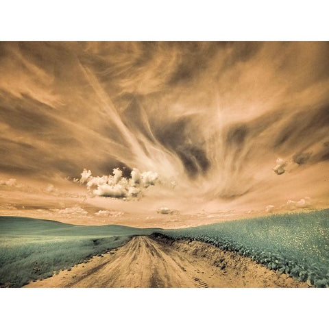 USA-Washington State-Palouse-Backcountry road through canola field and clouds Black Modern Wood Framed Art Print by Eggers, Terry