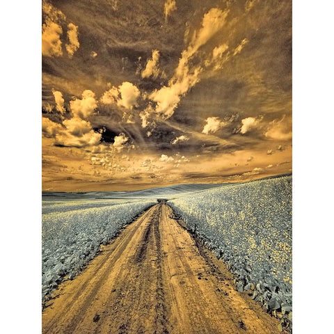 USA-Washington State-Palouse-Backcountry road through canola field and clouds Black Modern Wood Framed Art Print by Eggers, Terry