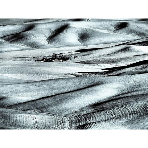 USA-Washington State-Palouse region-Rolling hills at Sunset Black Modern Wood Framed Art Print by Eggers, Terry