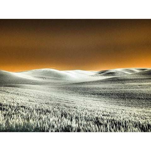 USA-Washington State-Palouse region-Rolling Hills of wheat Black Modern Wood Framed Art Print by Eggers, Terry