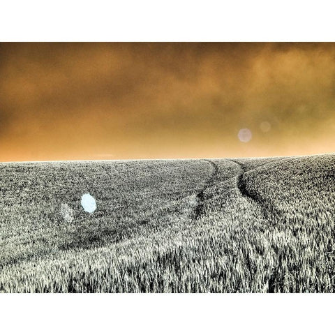 USA-Washington State-Palouse region-Rolling Hills of wheat Black Modern Wood Framed Art Print by Eggers, Terry