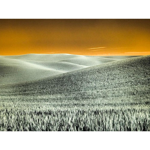 USA-Washington State-Palouse region-Rolling Hills of wheat Black Modern Wood Framed Art Print by Eggers, Terry