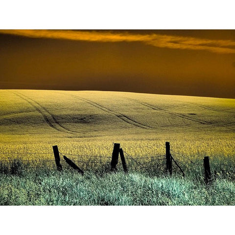 USA-Washington State-Palouse region-Fence and field of wheat Black Modern Wood Framed Art Print by Eggers, Terry