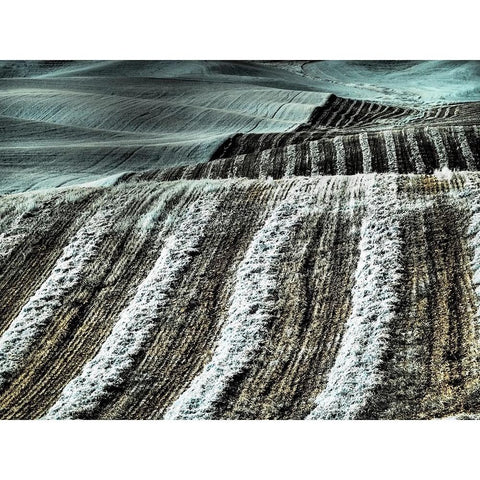 USA-Washington State-Palouse region-Harvest cut lines in Field Black Modern Wood Framed Art Print by Eggers, Terry