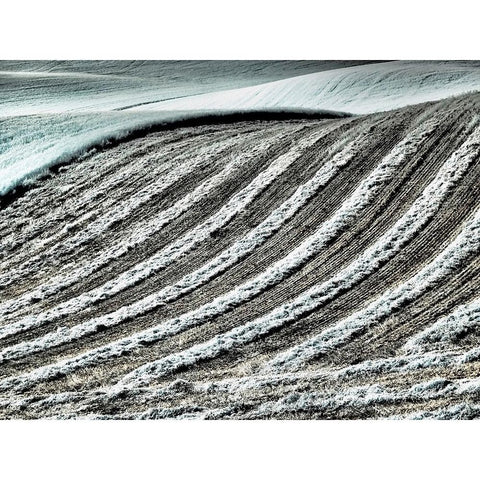 USA-Washington State-Palouse region-Harvest cut lines in Field Black Modern Wood Framed Art Print by Eggers, Terry