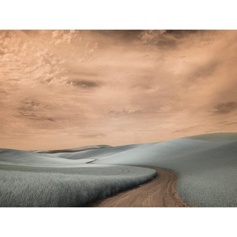 USA-Washington State-Palouse region-winding backcountry road through wheat fields Black Modern Wood Framed Art Print by Eggers, Terry