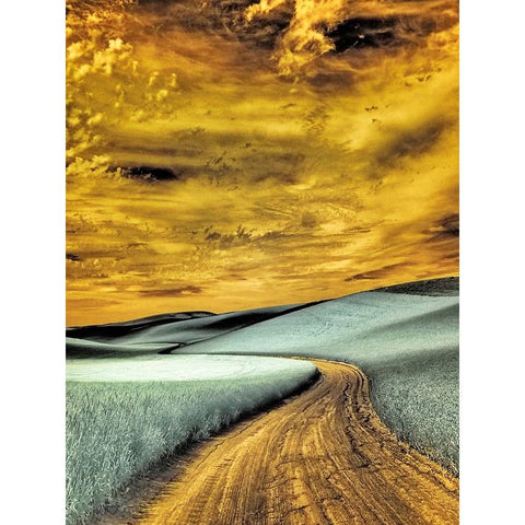 USA-Washington State-Palouse region-winding backcountry road through wheat fields Black Modern Wood Framed Art Print by Eggers, Terry