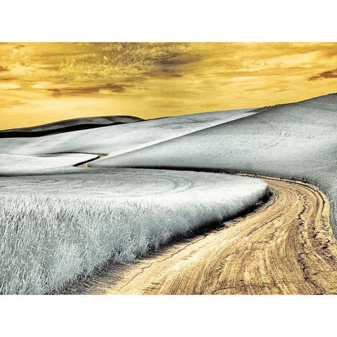 USA-Washington State-Palouse region-winding backcountry road through wheat fields Black Modern Wood Framed Art Print by Eggers, Terry