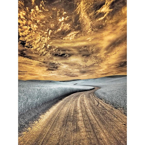 USA-Washington State-Palouse region-winding backcountry road through wheat fields Black Modern Wood Framed Art Print by Eggers, Terry