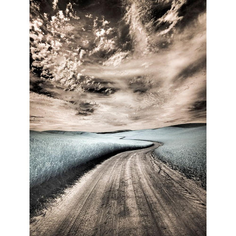 USA-Washington State-Palouse region-winding backcountry road through wheat fields Black Modern Wood Framed Art Print with Double Matting by Eggers, Terry