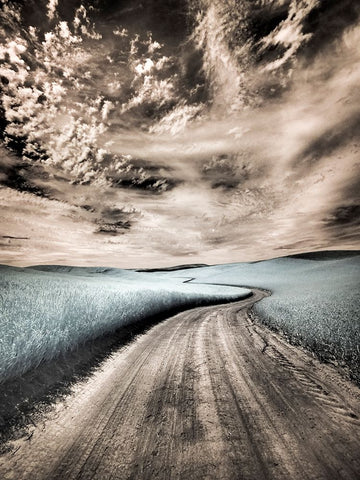 USA-Washington State-Palouse region-winding backcountry road through wheat fields Black Ornate Wood Framed Art Print with Double Matting by Eggers, Terry