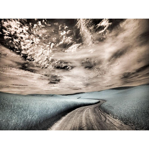 USA-Washington State-Palouse region-winding backcountry road through wheat fields Black Modern Wood Framed Art Print by Eggers, Terry