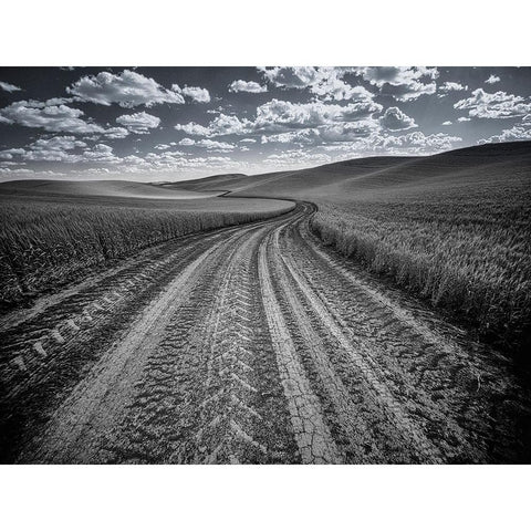 USA-Washington State-Palouse-Country backroad through spring crops Black Modern Wood Framed Art Print by Eggers, Terry