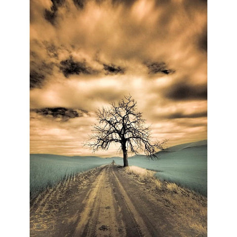 USA-Washington State-Palouse Infrared of lone tree along side country road Black Modern Wood Framed Art Print by Eggers, Terry