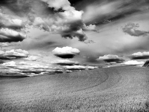 USA-Washington State-Palouse Infrared of rolling hills of crops and clouds Black Ornate Wood Framed Art Print with Double Matting by Eggers, Terry