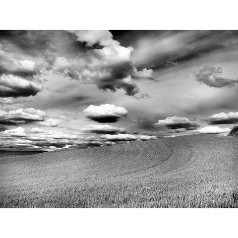 USA-Washington State-Palouse Infrared of rolling hills of crops and clouds Black Modern Wood Framed Art Print by Eggers, Terry