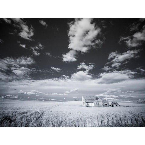 USA-Washington State-Palouse Infrared of old homestead with special clouds Black Modern Wood Framed Art Print by Eggers, Terry