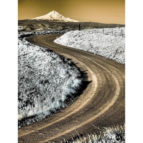 USA-Washington State Infrared capture of road running though wildflowers with Mount Hood background White Modern Wood Framed Art Print by Eggers, Terry