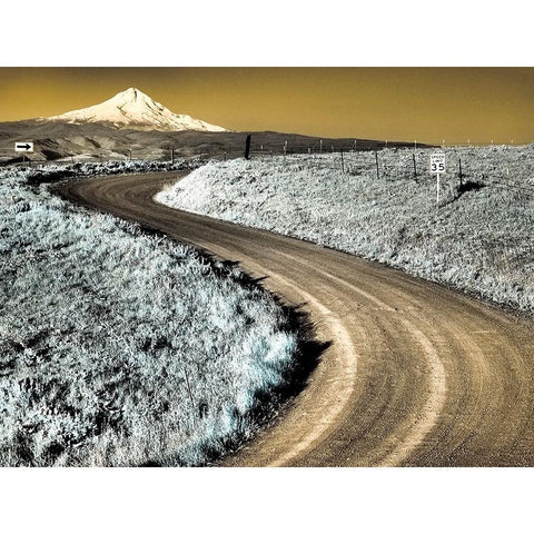 USA-Washington State Infrared capture of road running though wildflowers with Mount Hood background Black Modern Wood Framed Art Print by Eggers, Terry