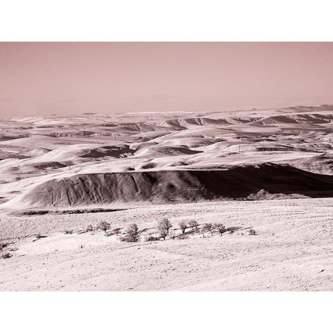 USA-Washington State Infrared capture wildflowers covering the hills along the Columbia River White Modern Wood Framed Art Print by Eggers, Terry