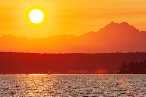 Sunset over Puget Sound- Seattle- Washington State. Silhouette of The Brothers peak on the right. Black Ornate Wood Framed Art Print with Double Matting by Haseltine, Tom