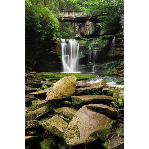 First or Upper Ekalaka Falls-Blackwater Falls State Park-West Virginia Black Modern Wood Framed Art Print by Majchrowicz, Alan