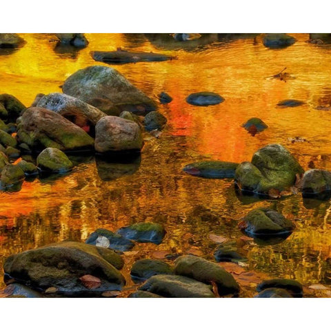 West Virginia, Davis Autumn reflections on pond Black Modern Wood Framed Art Print by OBrien, Jay