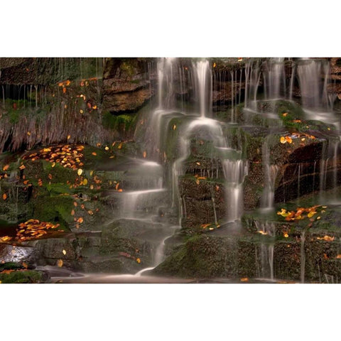 WV, Blackwater Falls Waterfall on rock face Gold Ornate Wood Framed Art Print with Double Matting by OBrien, Jay