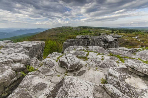 WV, Landscape in Dolly Sods Wilderness Area White Modern Wood Framed Art Print with Double Matting by OBrien, Jay