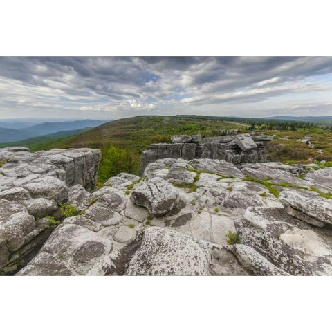 WV, Landscape in Dolly Sods Wilderness Area Black Modern Wood Framed Art Print with Double Matting by OBrien, Jay