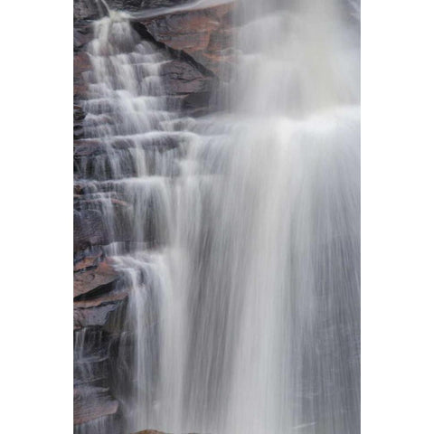 West Virginia, Davis, Blackwater Falls The falls Black Modern Wood Framed Art Print by OBrien, Jay