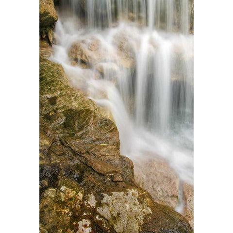 West Virginia, Thomas Close-up of Douglas Falls Black Modern Wood Framed Art Print by OBrien, Jay