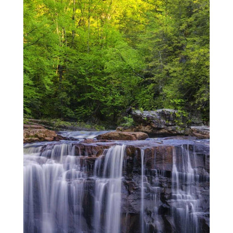 West Virginia, Davis, Blackwater Falls The falls Black Modern Wood Framed Art Print by OBrien, Jay